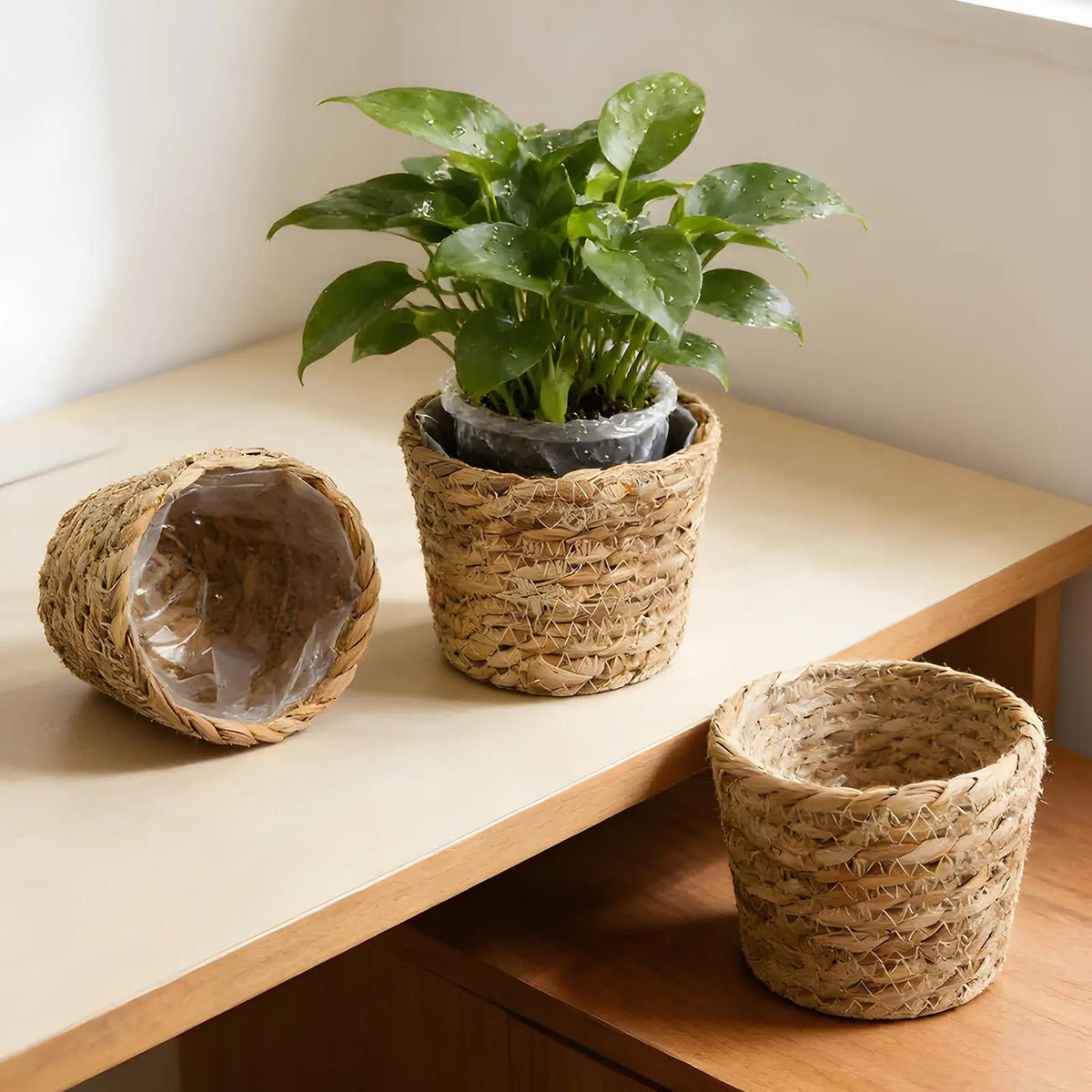 Basket Planter 3 Pieces Leak-Proof with Waterproof Lining Outdoor Basket Planter for Patio Porch Front Porch Outdoor Display Zpaxo