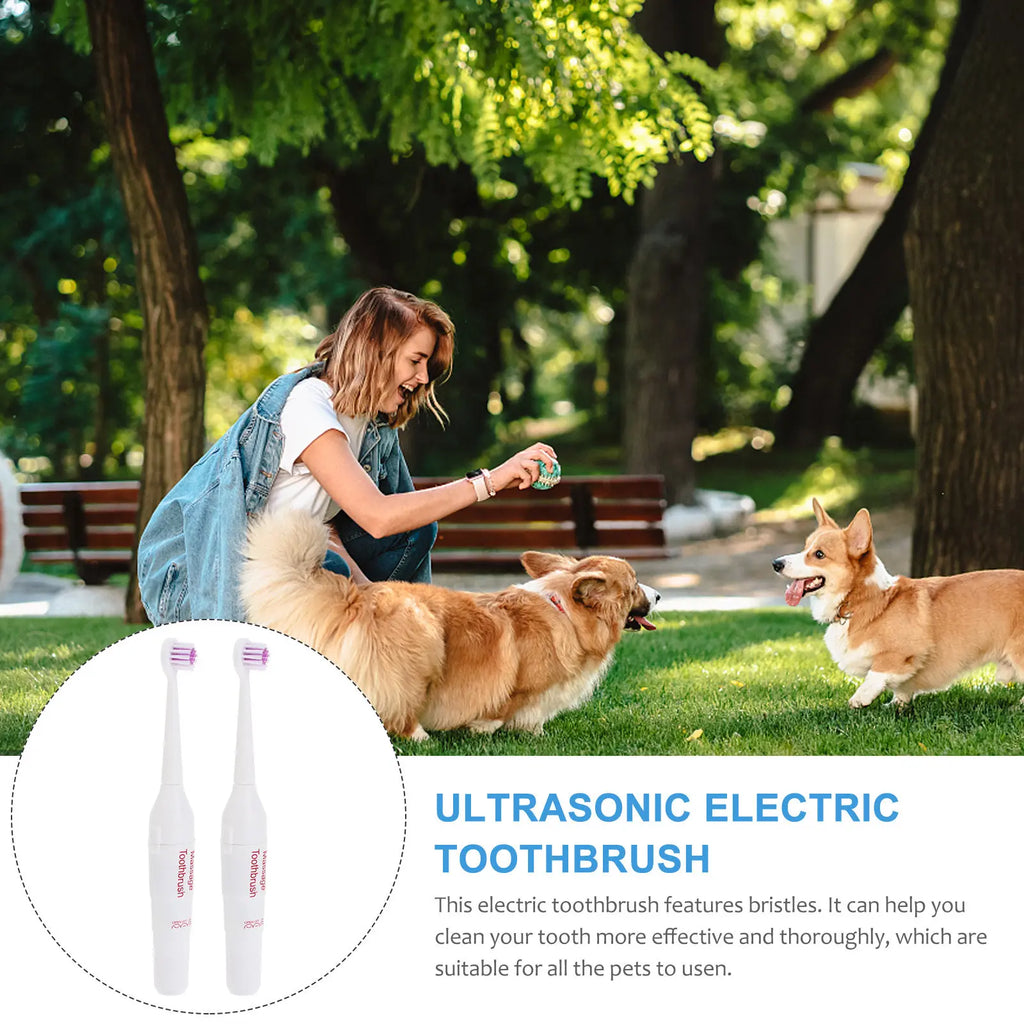 Electric Toothbrush Pets Lightweight Portable Waterproof Electrical Zpaxo