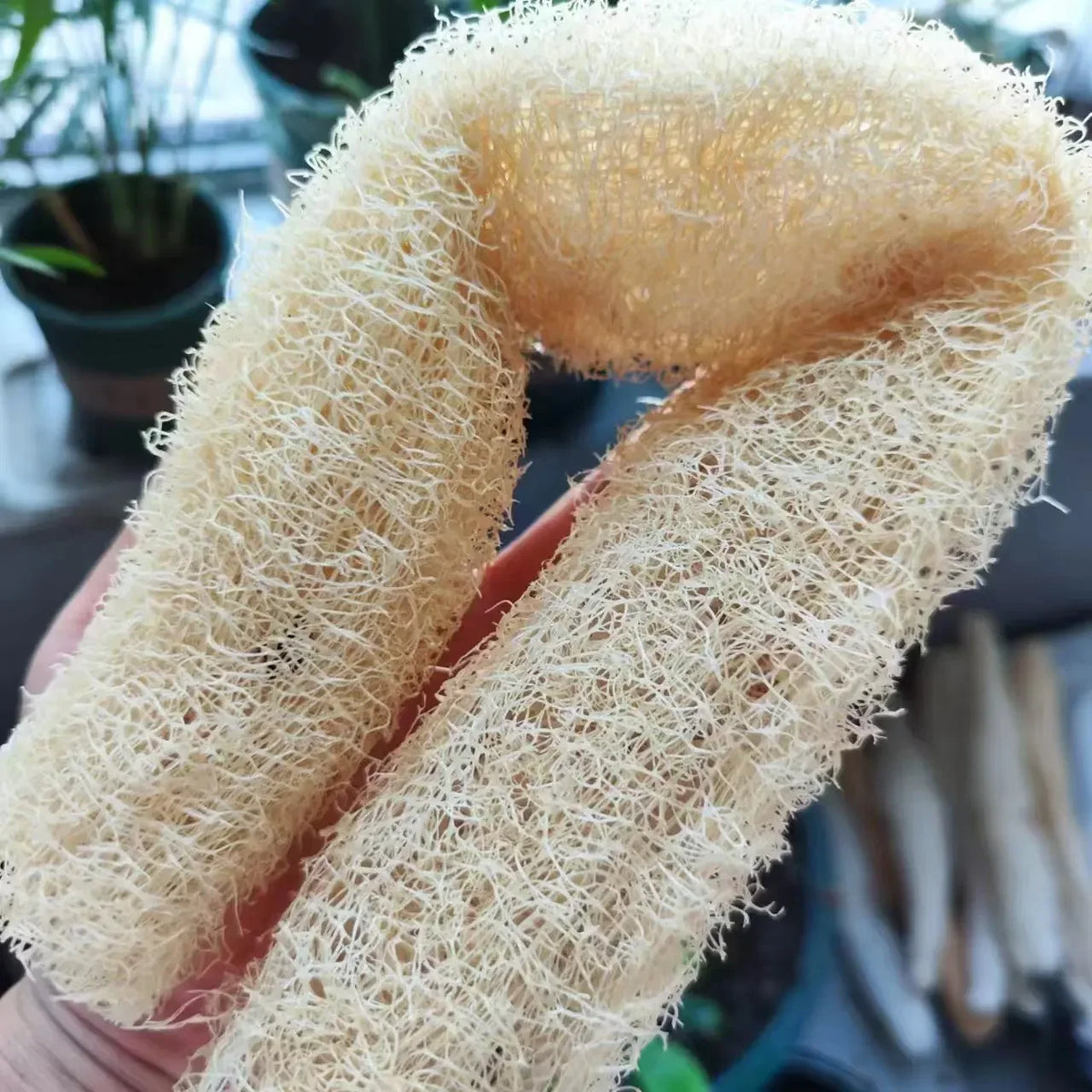 Natural Loofah Scrubber Multi-purpose Cleaning Tool Kitchen Bathroom Zpaxo 1pc