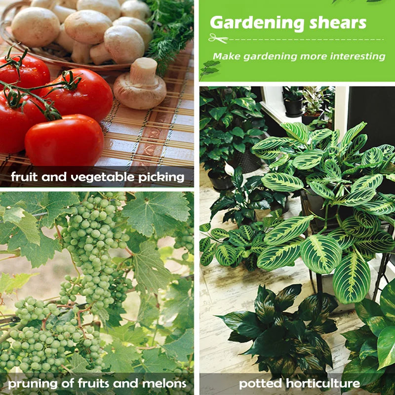Pruning Shears Precision Trimming Scissors Gardening Hand Snips Zpaxo