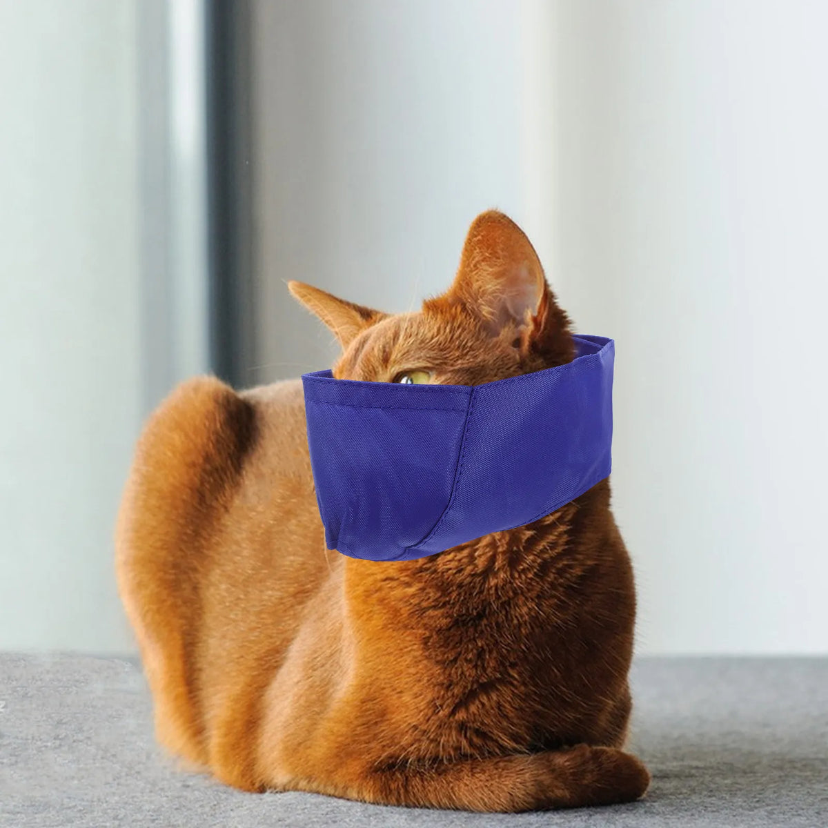 Premium Cat Eye Mask Calming During Manicure Bath Blow Dry Zpaxo