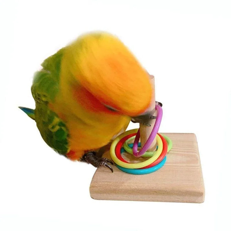 Bird Training Ring Toy Parrot Educational Toys Interactive Supplies Zpaxo