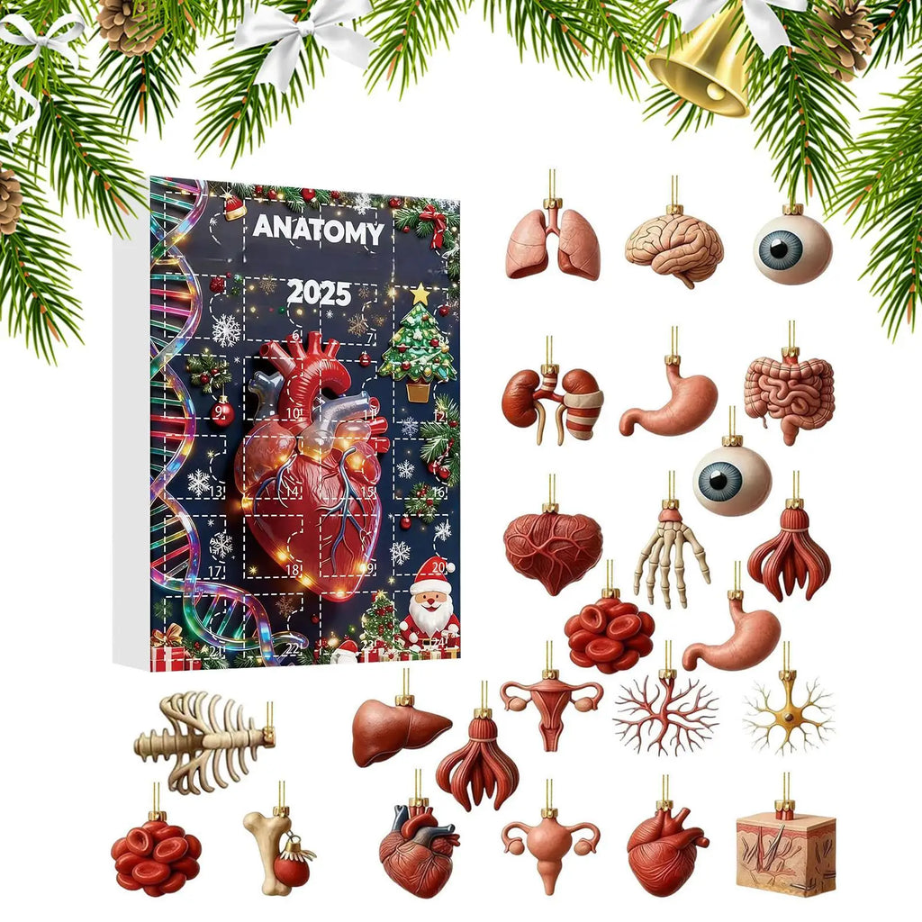 2025 Science Theme Advent Calendar 24 Days Countdown Decorations Zpaxo