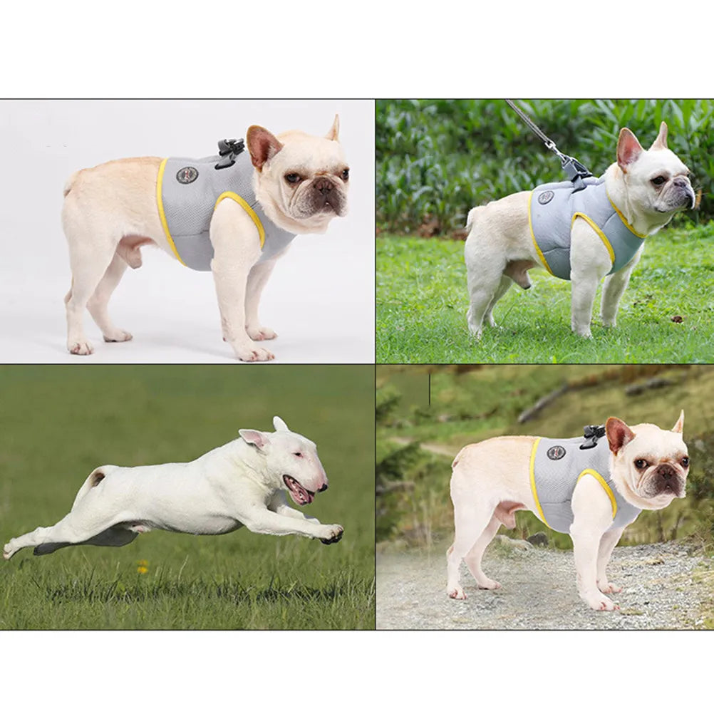 Dog Cooling Vest Summer Breathable Chest Back S Quick Release Buckle Zpaxo