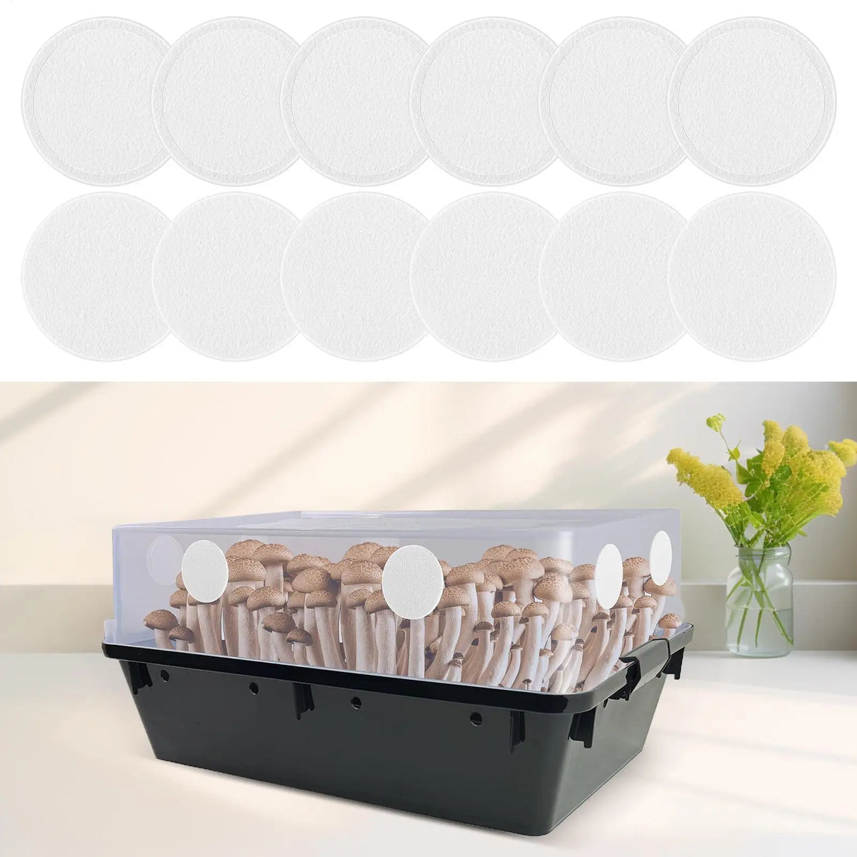 24x Mushroom Adhesive Filter Discs Moisture Preservation Grow Box Zpaxo