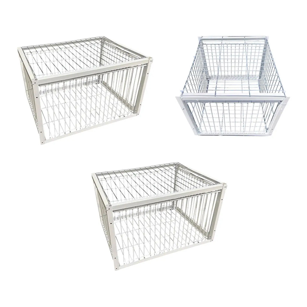 Pigeon Trap Humane Poultry Care Single Way Entry Metal Welding Coop Zpaxo