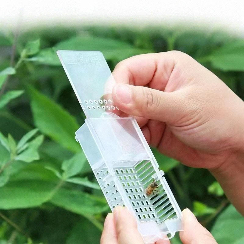 Beekeeping Bees Transparent Queen Cages Bee Transport Apiculture Zpaxo