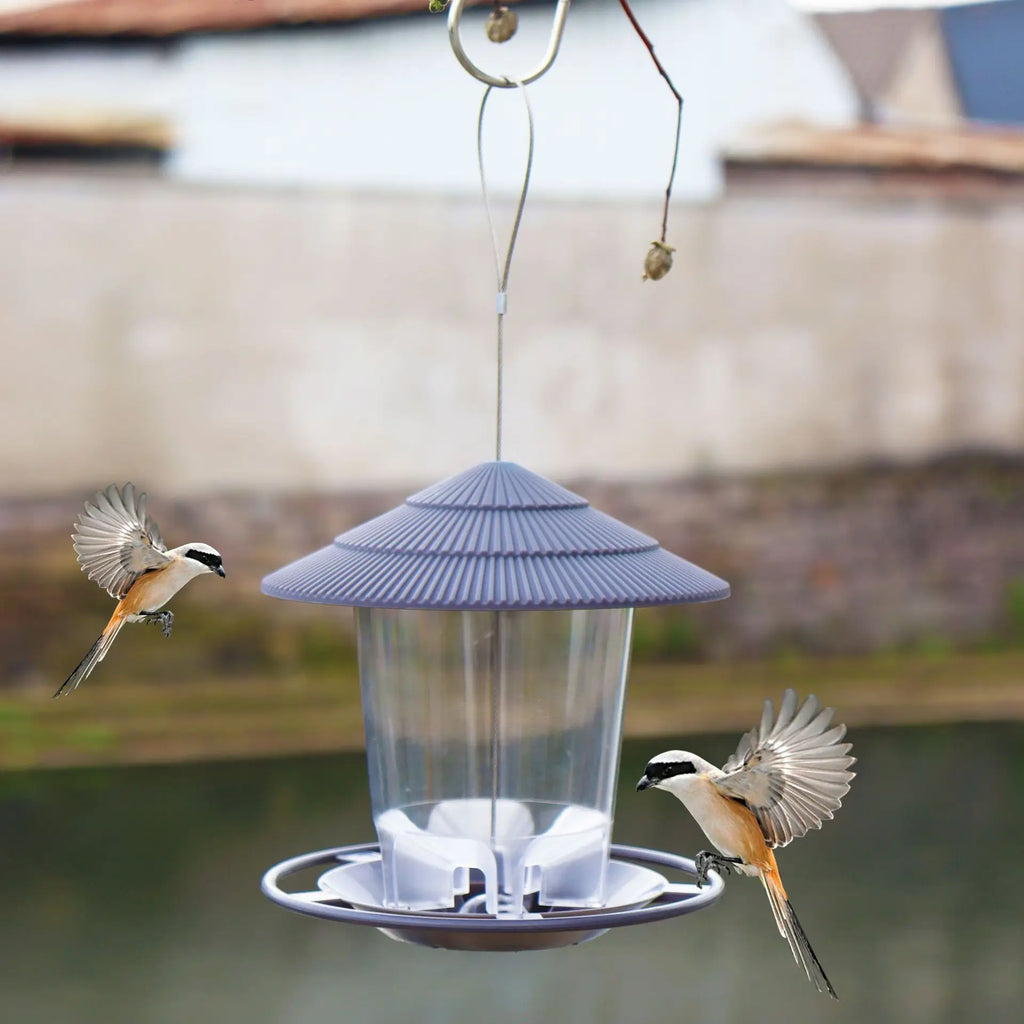 Bird Feeder Automatic Foot Feeding Tool Outdoor Hanging Nut Multiple Zpaxo
