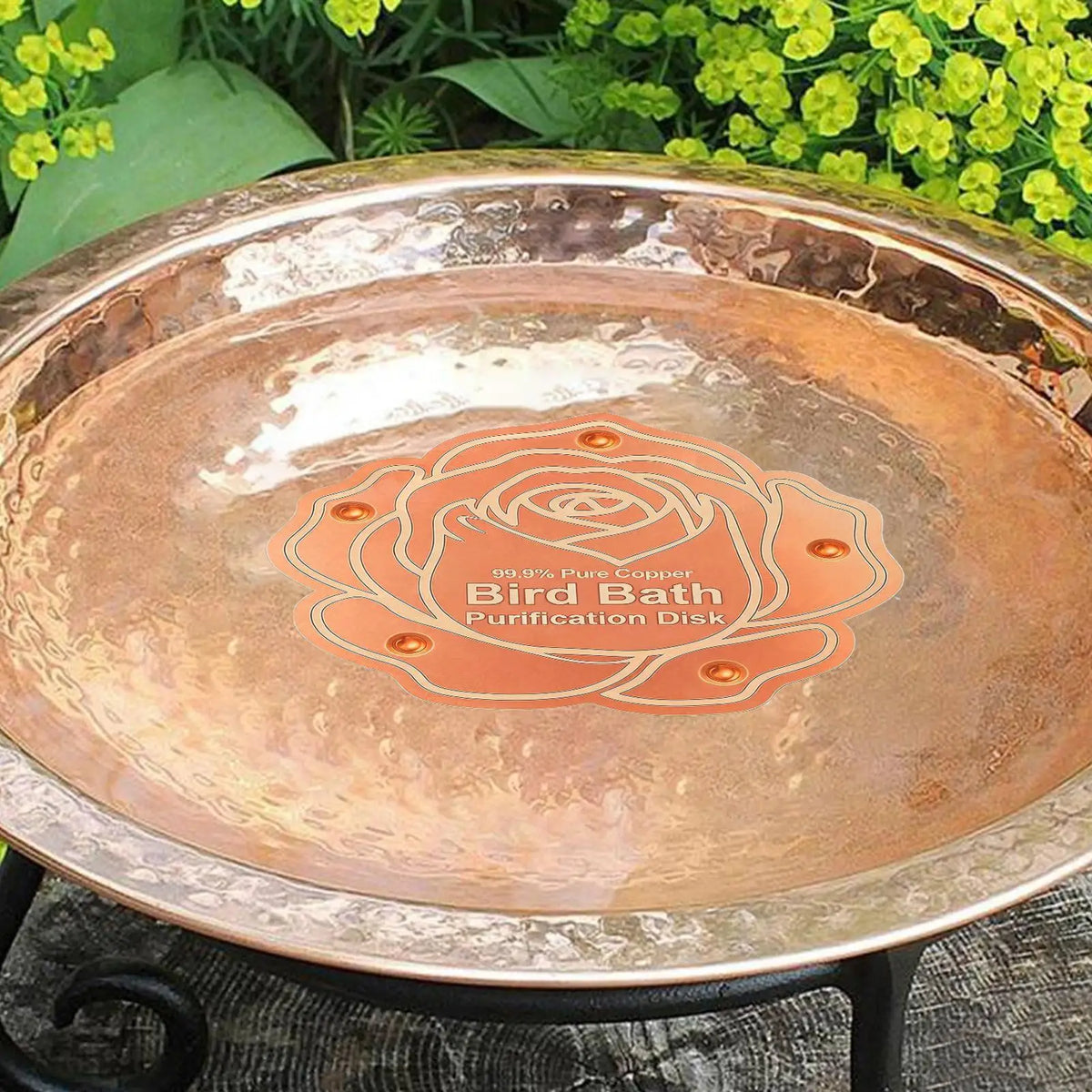 Bird Bath Copper Purification Panel Flower Shape Physical Safe Water Zpaxo