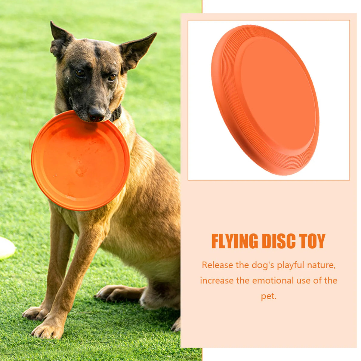 Wear-resistant Puppy Disc Interactive Flying Promotes Interaction Zpaxo