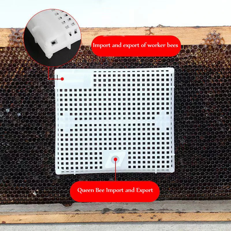 Reusable Queen Bee Isolator Introduction Cage Portable Plastic Zpaxo