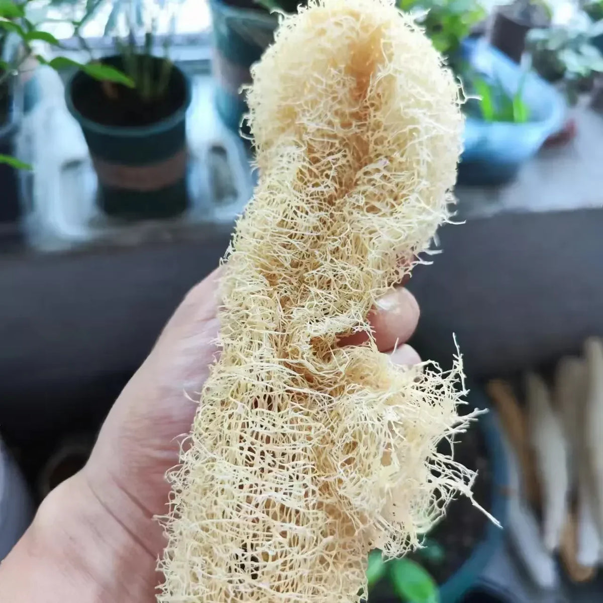 Natural Loofah Scrubber Multi-purpose Cleaning Tool Kitchen Bathroom Zpaxo