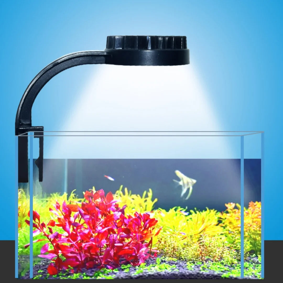 USB Charging Small Fishbowl LED Light Separate Power Switch Zpaxo