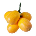 Simulation Loquat Fruit Model Adds Natural Touching Home Kitchen Zpaxo 5 forks CN