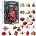 2025 Science Theme Advent Calendar 24 Days Countdown Decorations Zpaxo A A