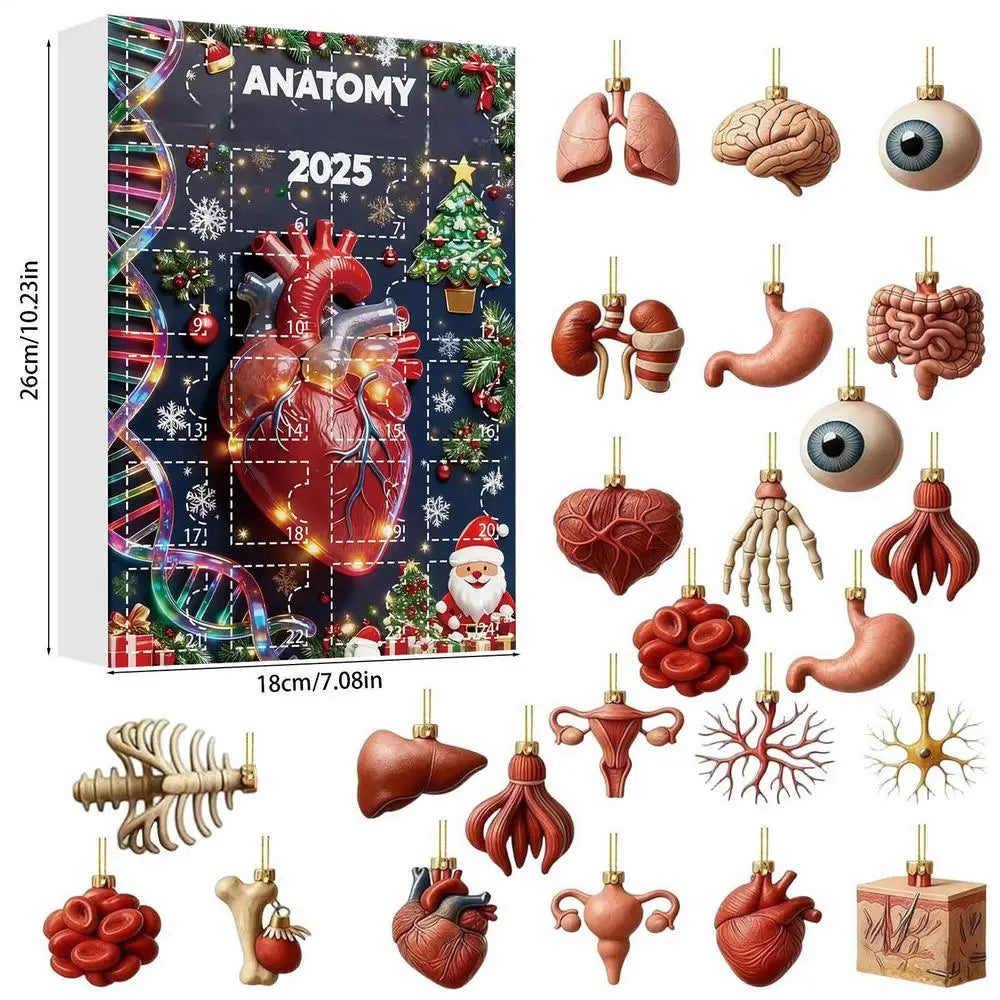 2025 Science Theme Advent Calendar 24 Days Countdown Decorations Zpaxo A A