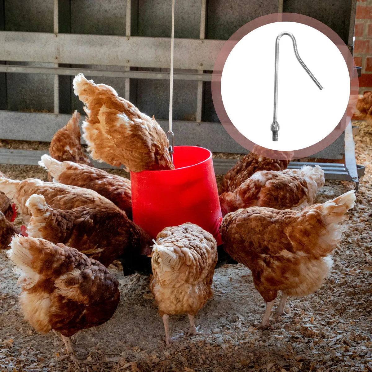 Professional Chicken Catcher Hook Rod Chickens Ducks Geese Quick Zpaxo Default Title