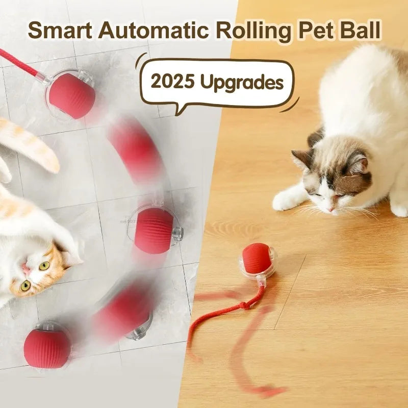 Cat Interactive Ball Training Self-moving Kitten Electric Cat Ball Toys Electronic Automatic Rolling Magic Ball Toys for Cat Zpaxo