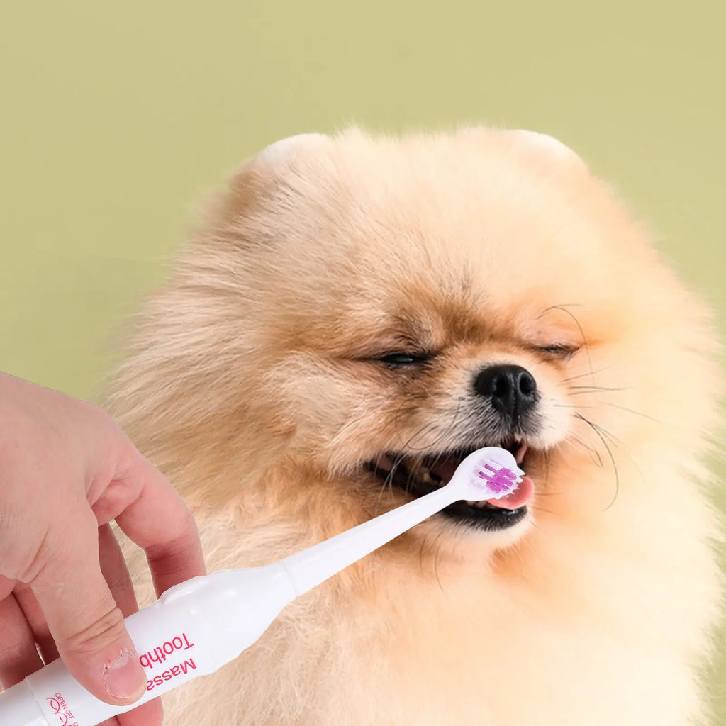 Electric Toothbrush Pets Lightweight Portable Waterproof Electrical Zpaxo