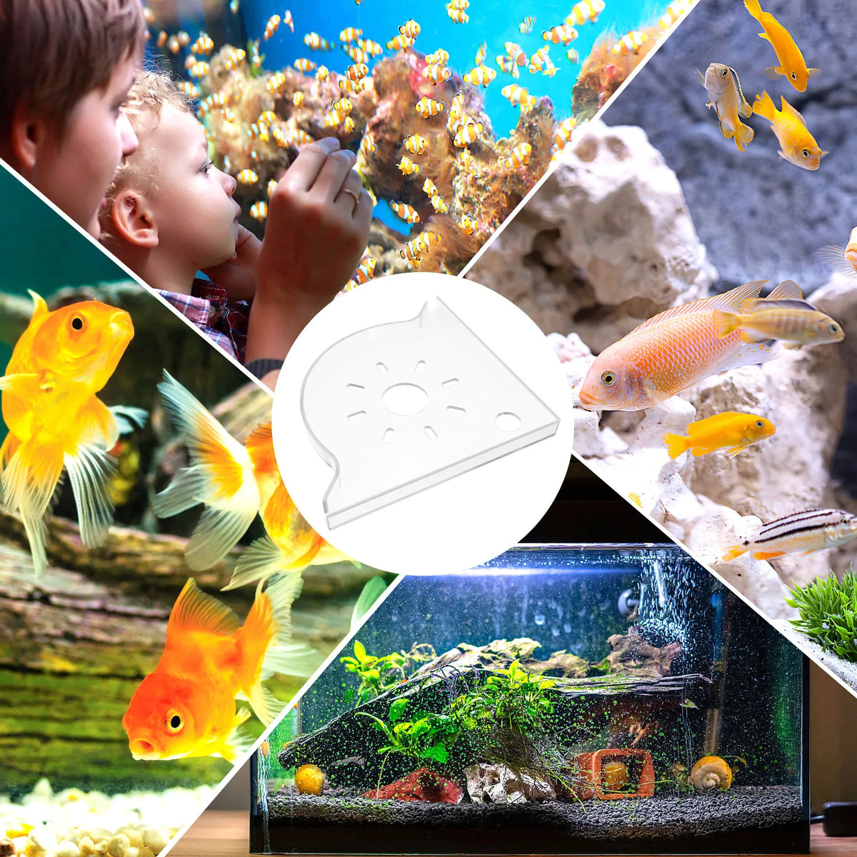 Triangle Corner Stand Aquarium Fish Tank Storage Shelf Space Saving Zpaxo