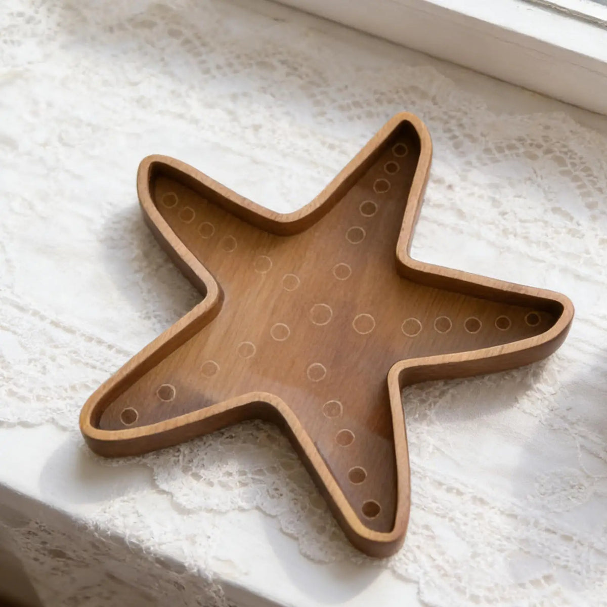 Seashell Holder Display Box Clear Starfish Shaped Case Collection Zpaxo