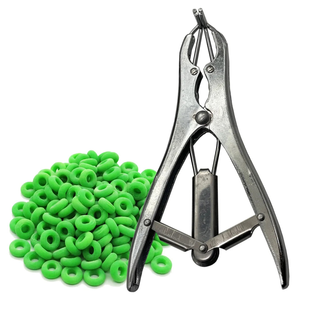 Stainless Steel Sheep Broken Tail Castration Forceps Expansion Clamp Zpaxo
