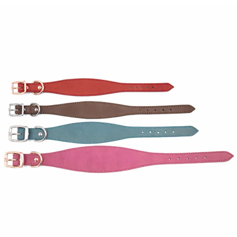 Collar Whippet Leather Soft Suede Pedded Wide Collars Lurcher and Italian Greyhound Saluki Sighthound Dog Supplies Zpaxo