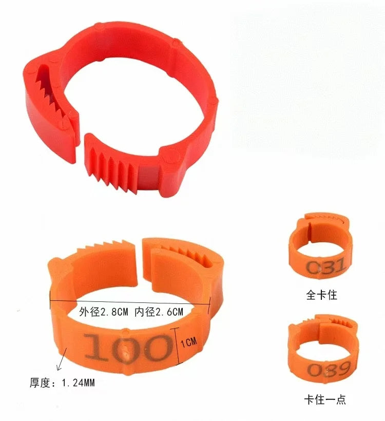 Chicken Foot Ring Label Buckle Plastic Adjustable Poultry Leg Snap Zpaxo