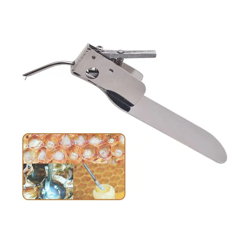 Beekeeping Grafting Tool Single End Queen Bee Larva Needle Zpaxo