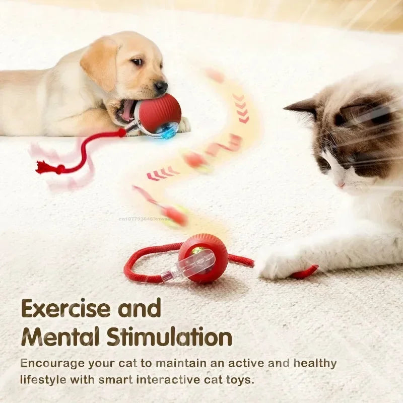 Interactive Cat Toys Automatic Rolling Ball Fake Tail Rechargeable Electric Pet Interactive Toy Dog Training Imitate Mouse Tail Zpaxo