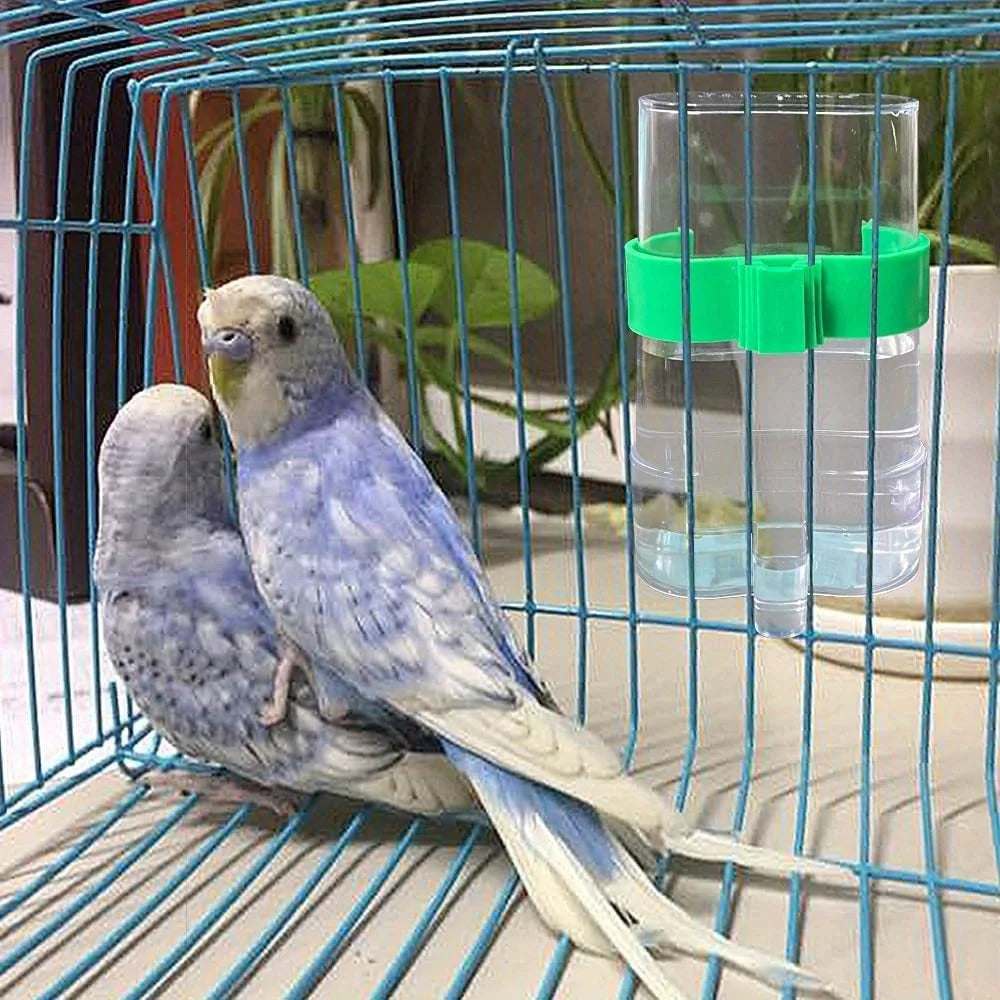 Automatic Bird Water Dispenser Drinking Feeder Transparent Cage Zpaxo