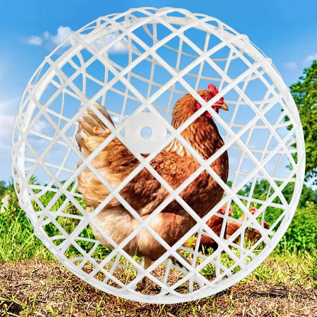 Spherical Chicken Ball Cage Outdoor Rolling Exercise Pen Safe Range Zpaxo