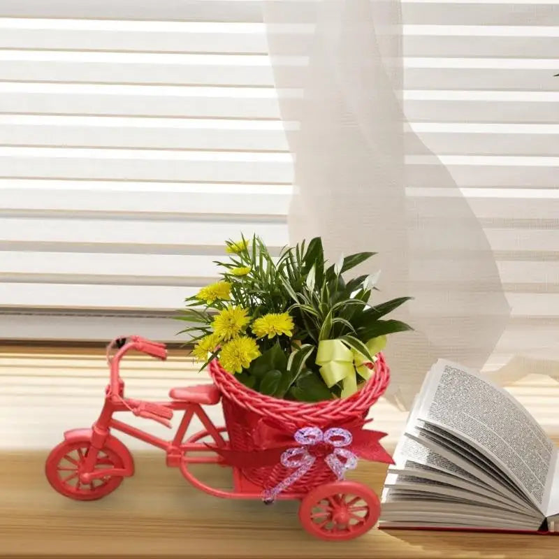 Bicycles Woven Basket Versatiles Rattans Bike Mounted Planter Indoor Zpaxo