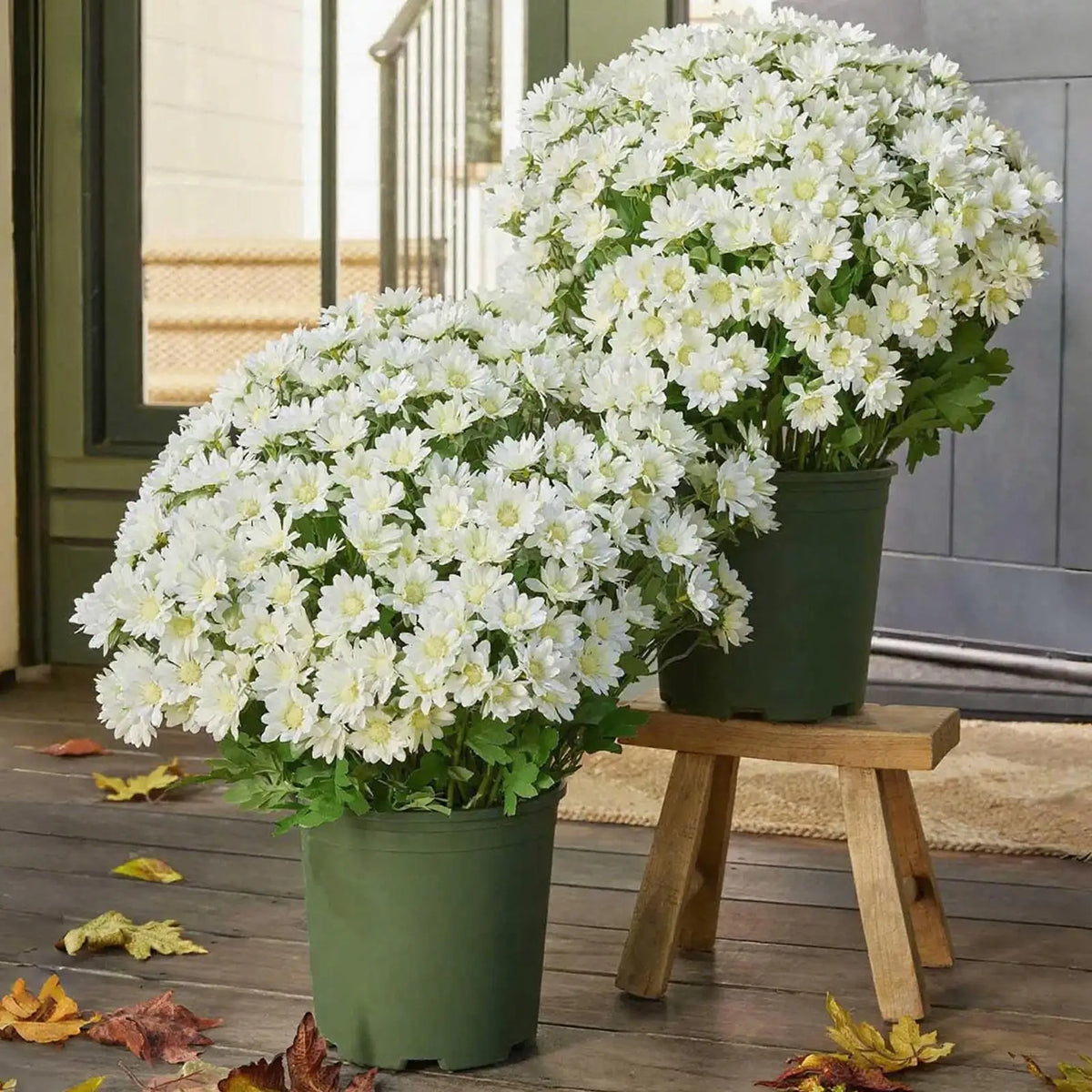 Artificial Mums Outdoors 10-Bundle Outdoor Sunset Fall Flowers Zpaxo