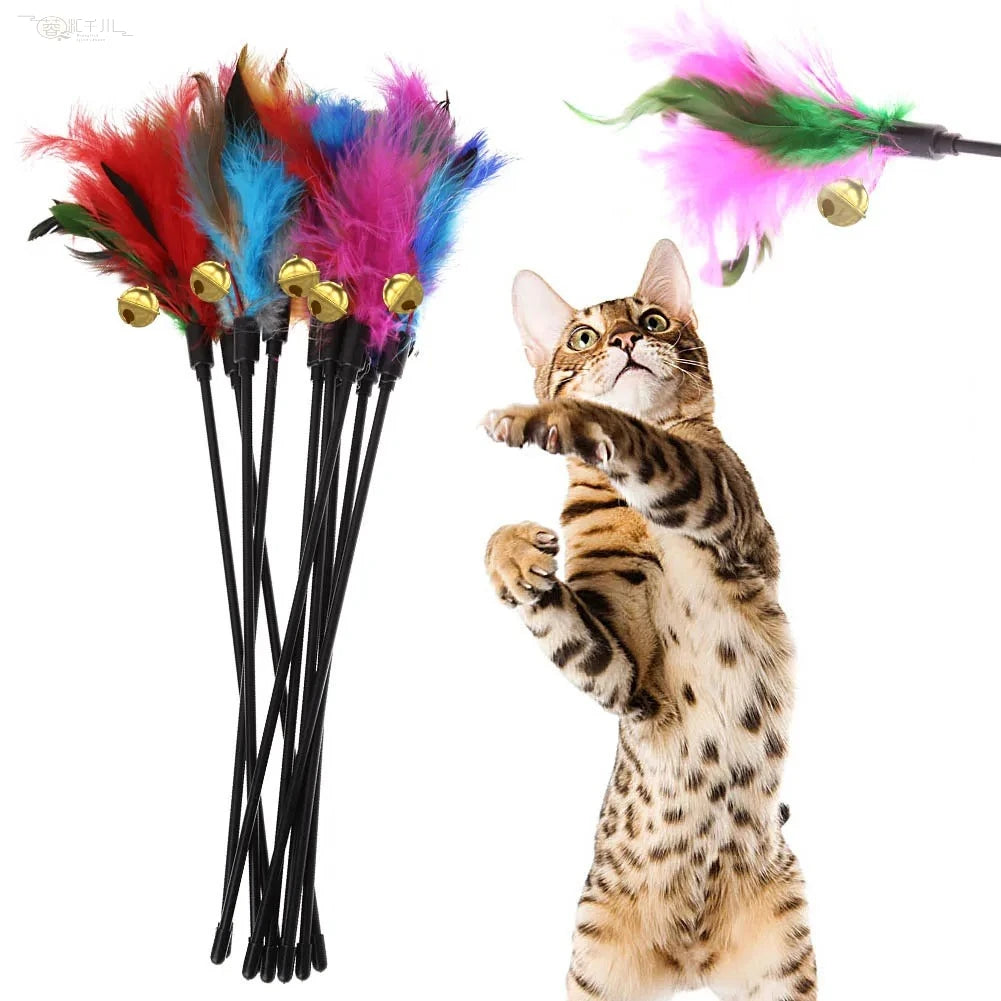 Cat Interactive Wand Colorful Feather Chicken Stick Bell Portable Zpaxo
