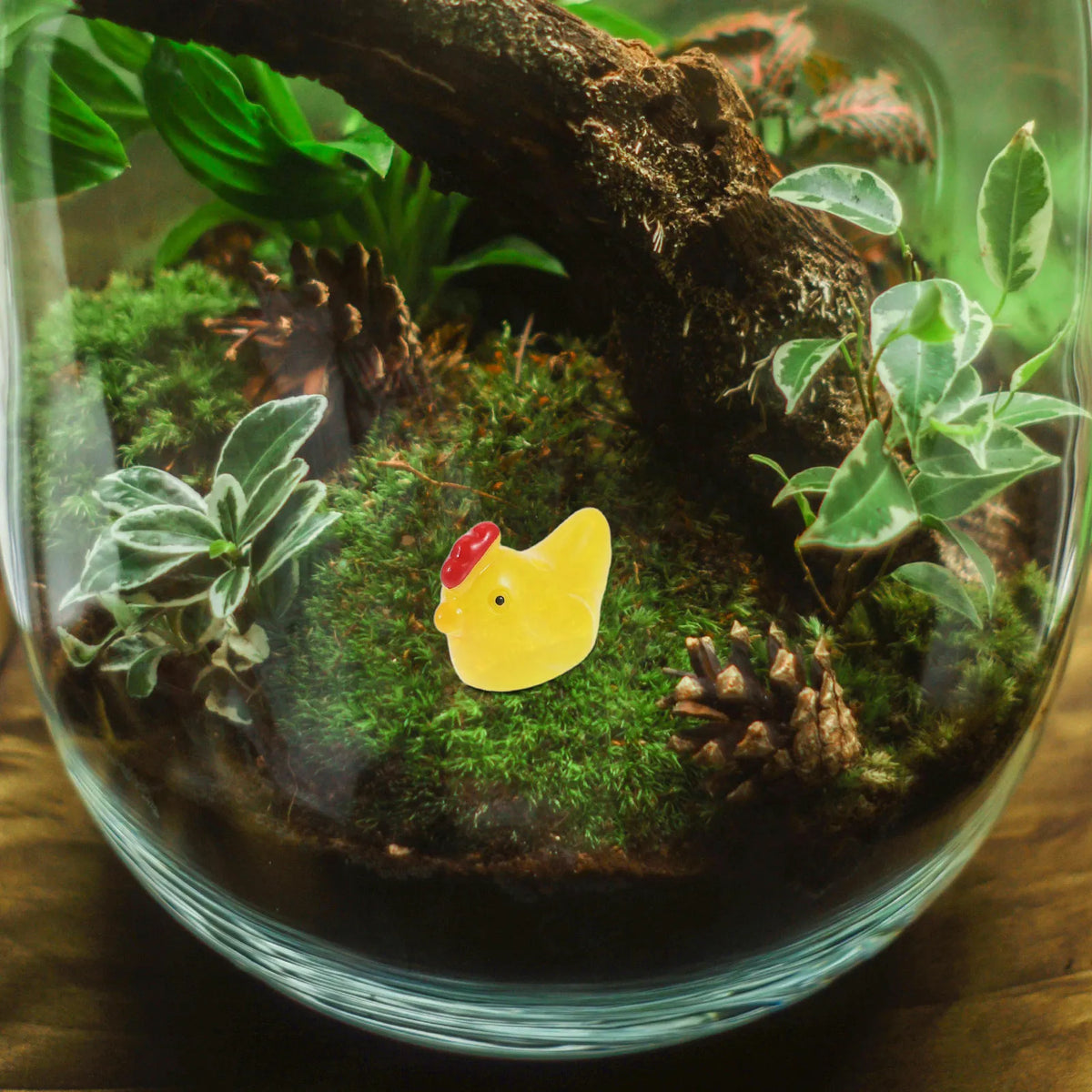 Adorable Mini Resin Hen Figurines Micro Landscape DIY Terrarium Moss Zpaxo