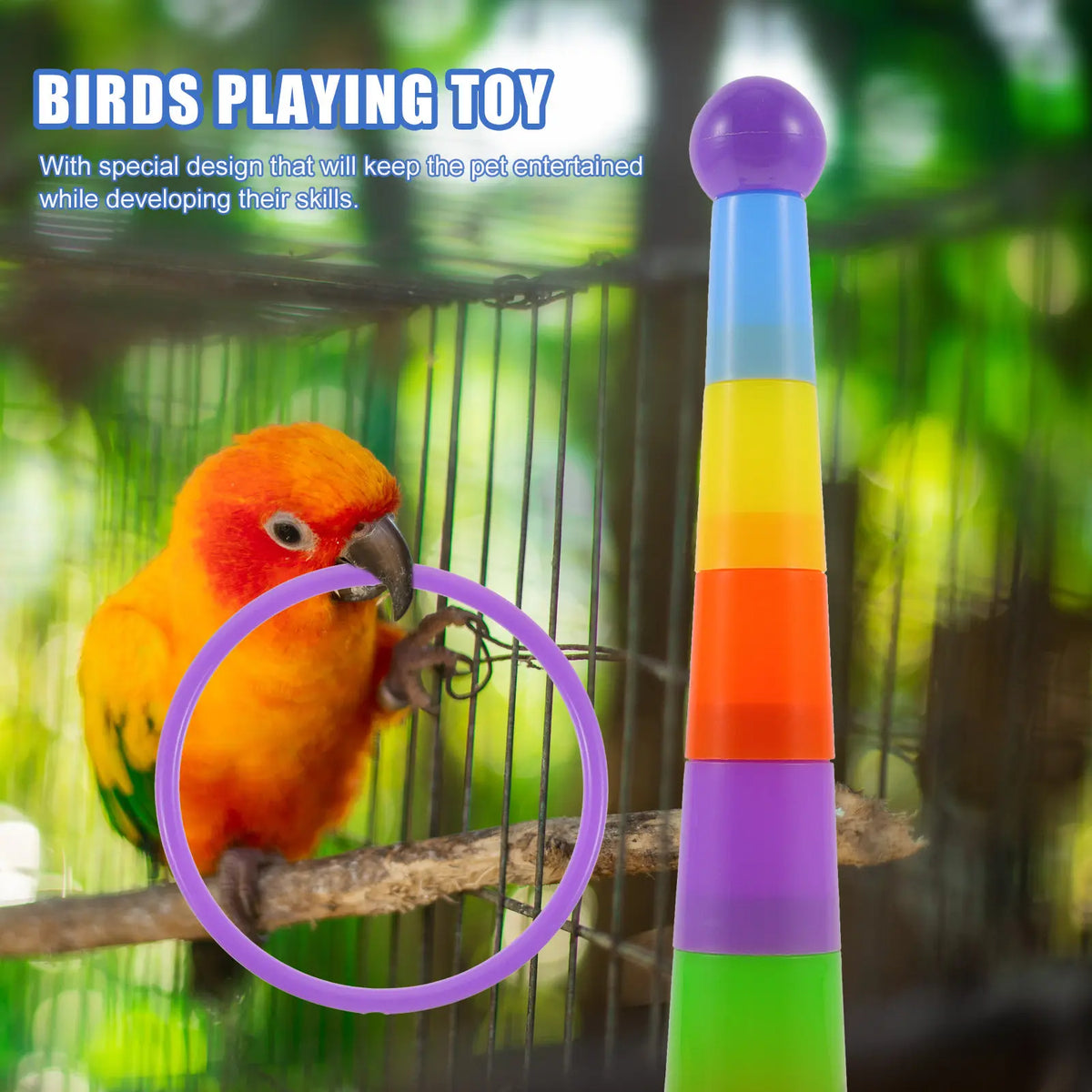 Interactive Bright Ring Toss Playground Educational Parrot Playing Zpaxo