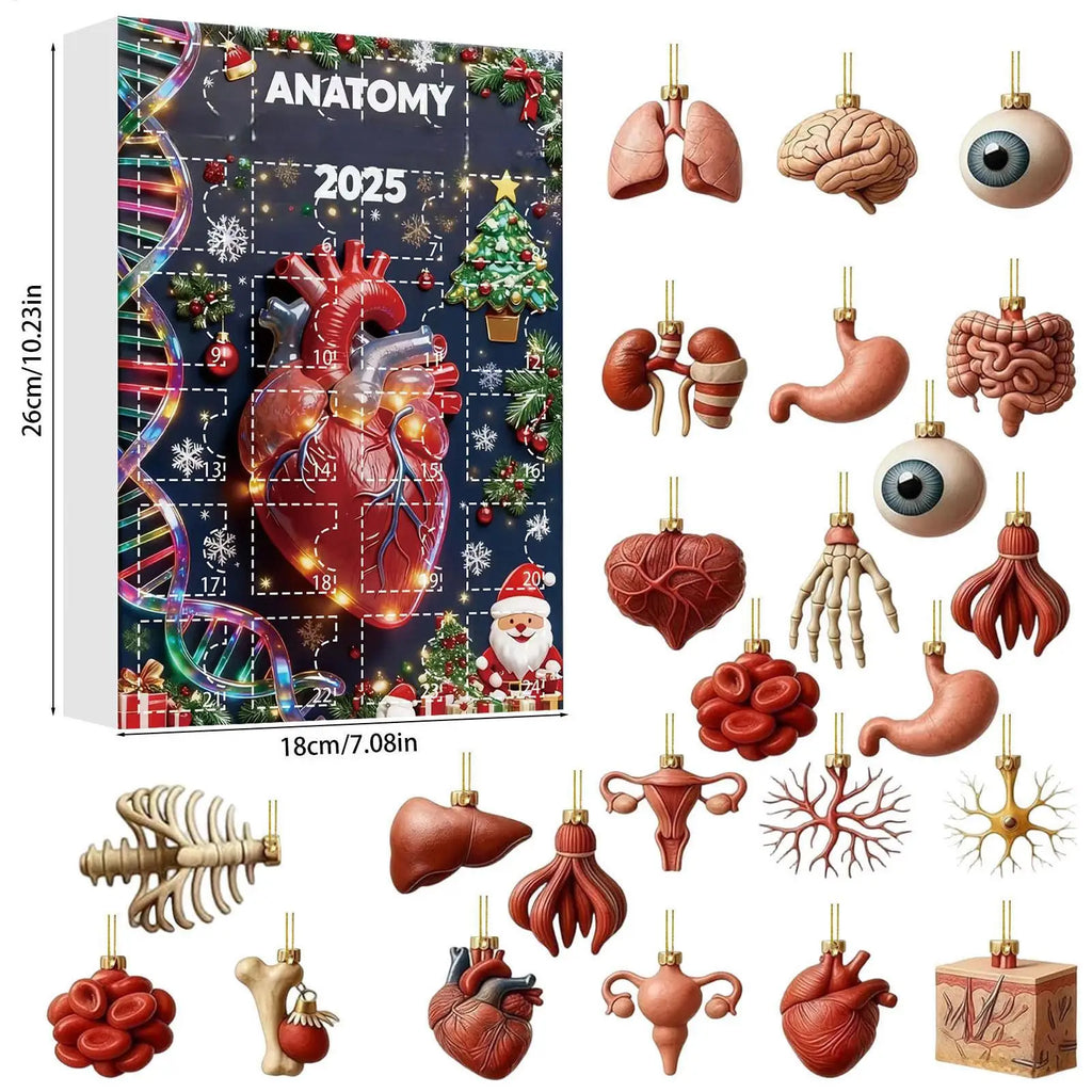 2025 Science Theme Advent Calendar 24 Days Countdown Decorations Zpaxo