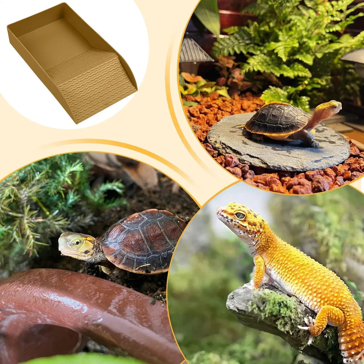 Turtle Water Bowl Reptile Bathing Dish Ramp Aquarium Ornament Bearded Zpaxo