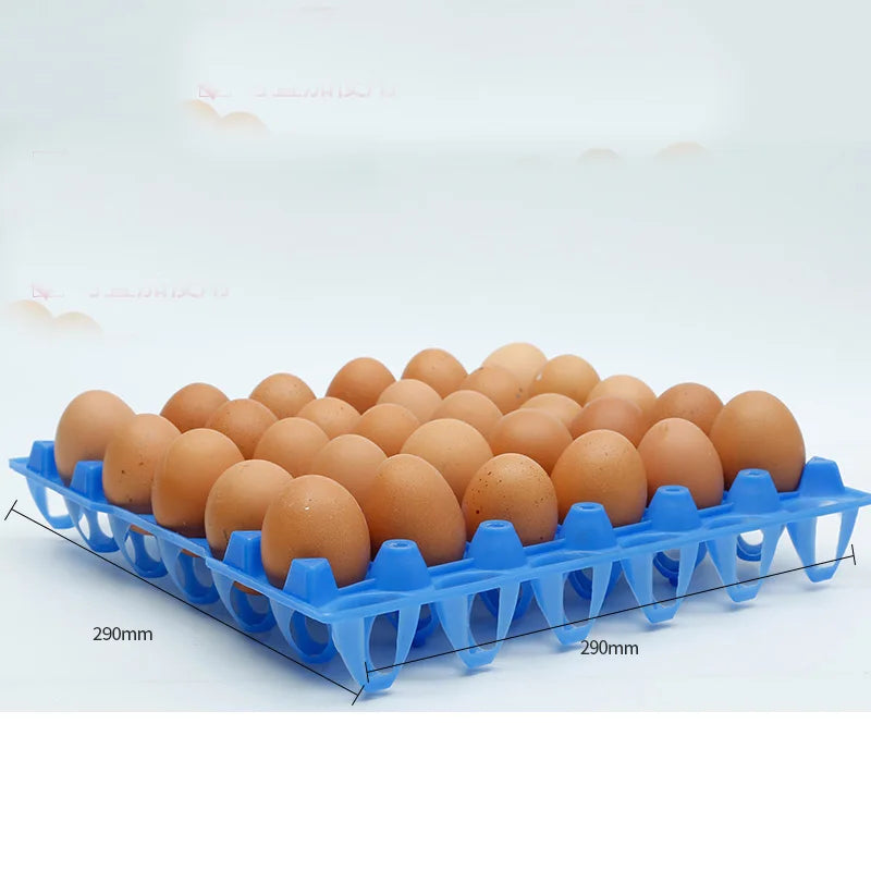 30Grids Plastic Egg Holders Long-distance Transport Transfer Pallets Zpaxo