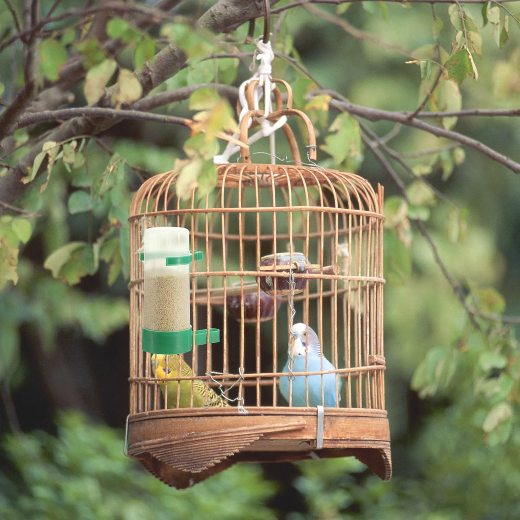 Bird Feeder Automatic Drinker Waterer Plastic Clip Cage Mount Zpaxo