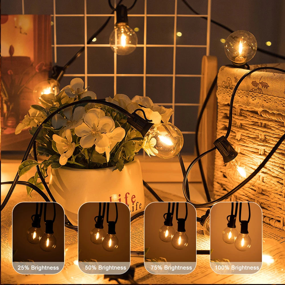 LED Indoor G40 String Light 220V EU Plug Shatterproof Light Bulb 7.6M-30M Length E12 Base LED G40 String Light for Holiday Party Zpaxo