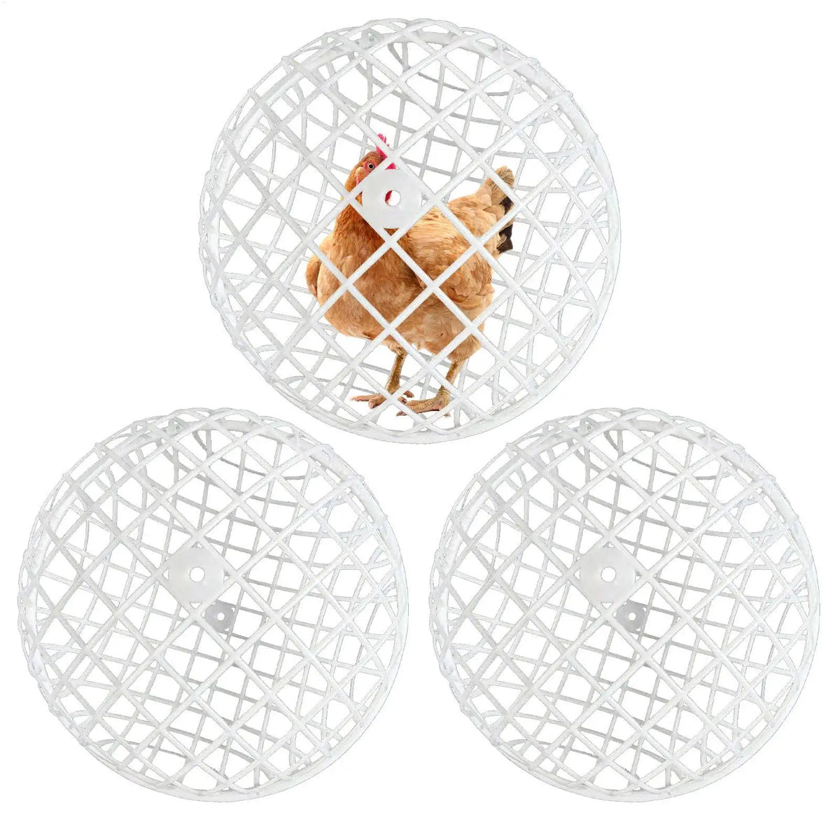 Spherical Chicken Ball Cage Outdoor Rolling Exercise Pen Safe Range Zpaxo