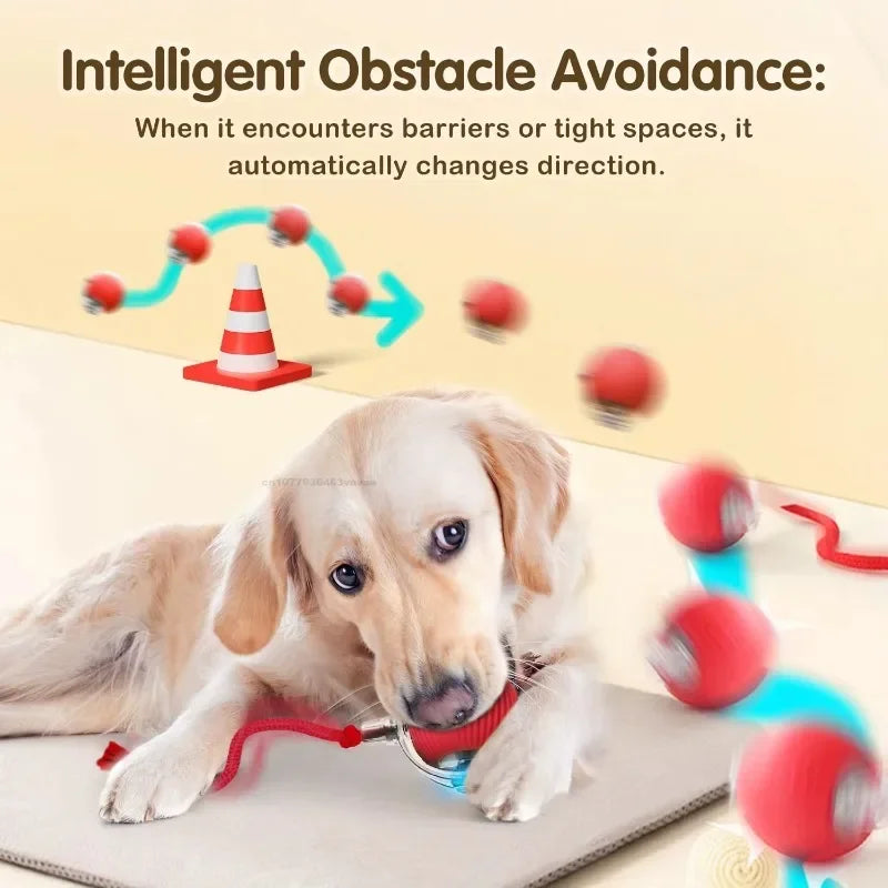 Interactive Cat Toys Automatic Rolling Ball Fake Tail Rechargeable Electric Pet Interactive Toy Dog Training Imitate Mouse Tail Zpaxo