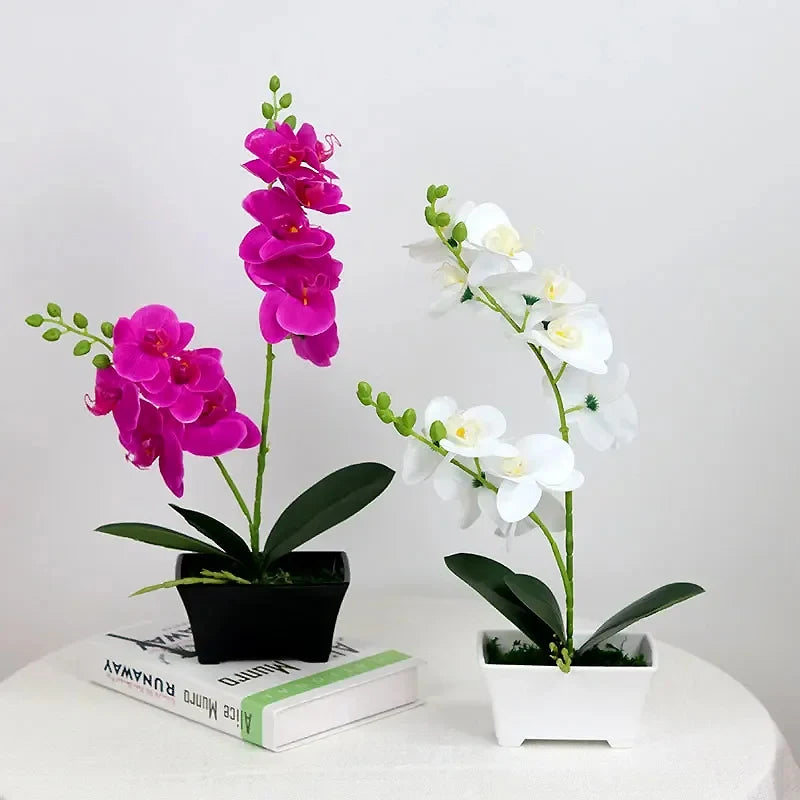 1 Artificial Silk Orchid Flowers Lifelike Real Touch Phalaenopsis Zpaxo