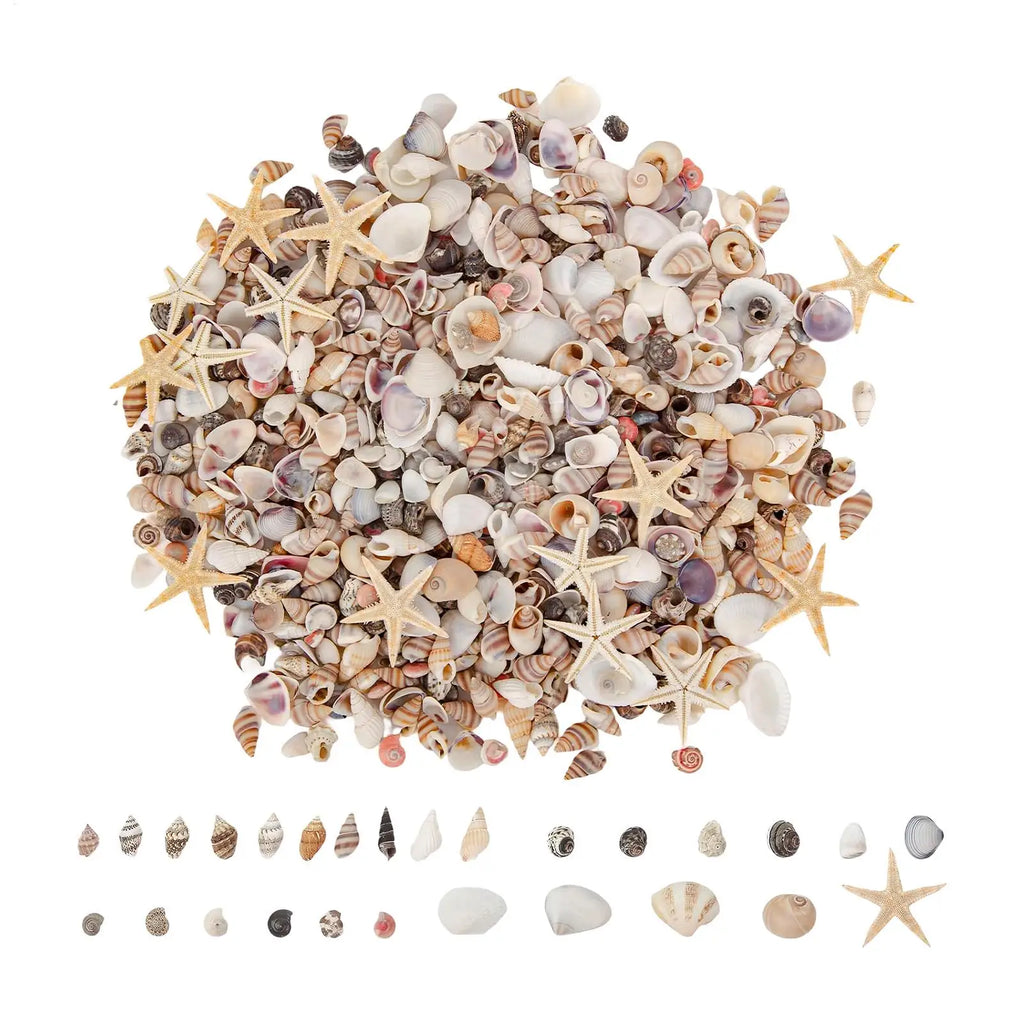Tiny Shells DIY Crafts Making Starfish Mixed Hobbyists Beginners Zpaxo Default Title