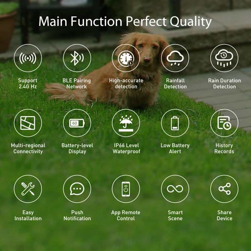 WiFi Rain Sensor Rainfall Duration Detection Outdoor Waterproof Battery Powered Tuya Smart Life App Control Home Automation Zpaxo