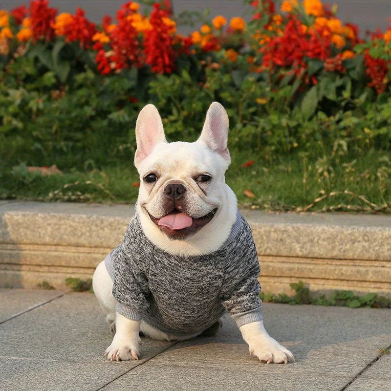 Warm Winter Dog Clothes French Bulldog Sweatshirt Pet Pullover Zpaxo