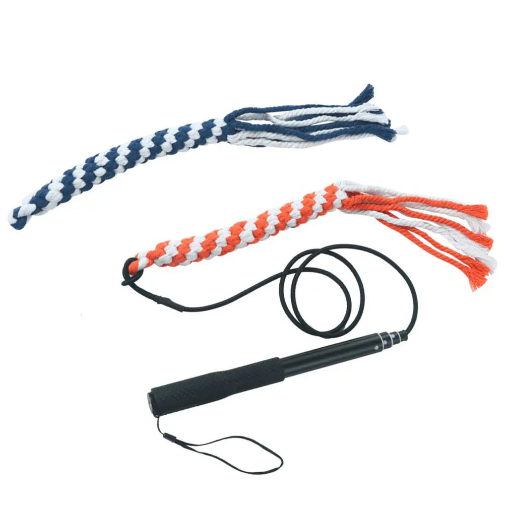 Retractable Dog Trainer Interactive Outside Chew Stick Pet Training Zpaxo