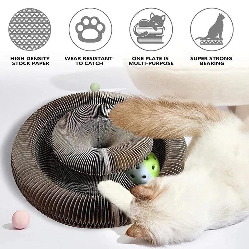 Cat Foldable Magic Organ Scratching Board Funny Toy Grinding Claw Zpaxo